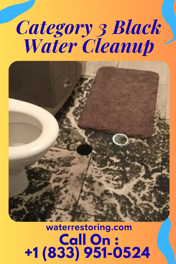 Category 3 Black Water Cleanup in Pitkin, CO