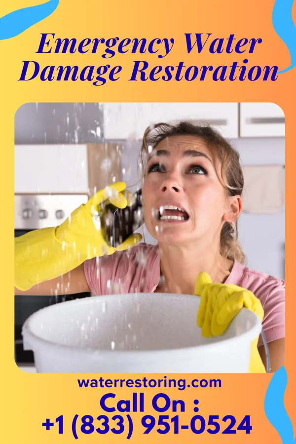 Emergency Water Damage Restoration in Pitkin, CO